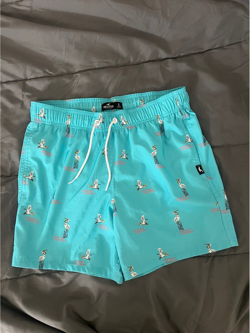 Hollister Swim Trunks Pelican Turquiose size Small
